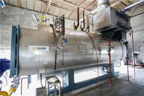 8噸燃生物質導熱油鍋爐企業(yè)